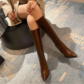 Bota Feminina Cano Longo Marrom Infinity